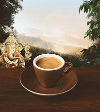 Lebensbaum demeter Kaapi Kerala Espresso ganze Bohne Lebensbaum demeter Kaapi Kerala Espresso ganze Bohne