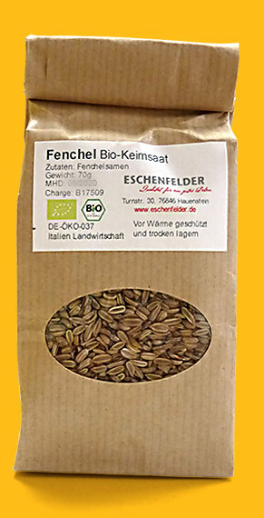 Keimsaat Fenchel aus biologischem Anbau