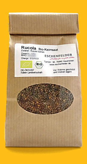 Keimsaat Rucola aus biologischem Anbau